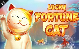 lucky fortune cat