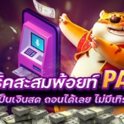 แจกทริคสะสมพ้อยท์ PAY69 แลกเป็นเงินสด ถอนได้เลย ไม่มีเทิร์น