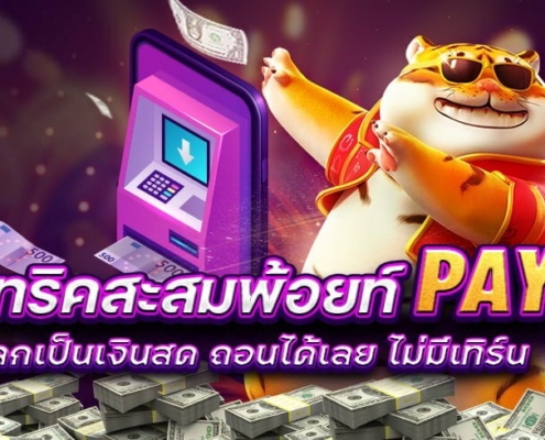 แจกทริคสะสมพ้อยท์ PAY69 แลกเป็นเงินสด ถอนได้เลย ไม่มีเทิร์น